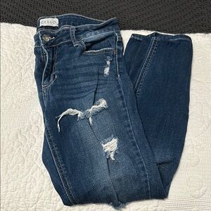Cello Blue Skinny Jeans with Distressing